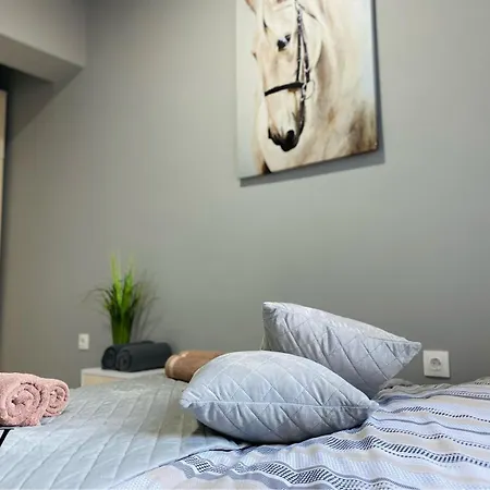 Nj Luxury And Apartmán Varna